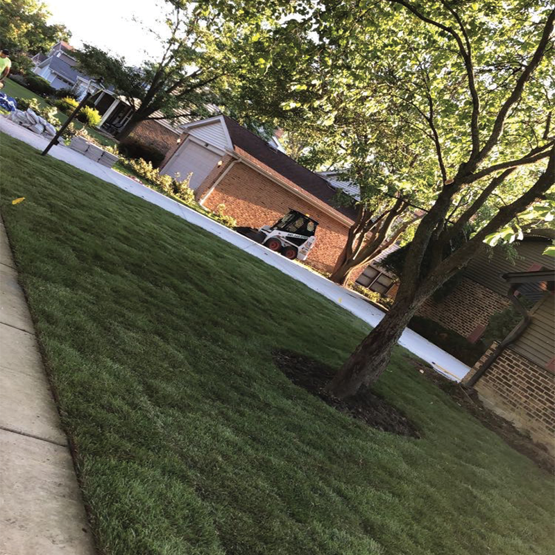 Divine View Landscaping Pic-21